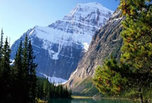 [CBA]沈煜：纳托尔的加盟完善了北京北汽队的战术体系.