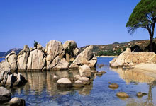 篮球公园辽宁男篮北控男篮.